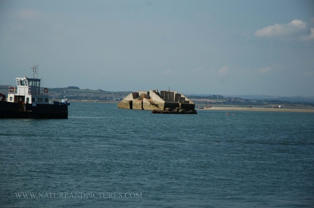 hayling island views landscape-034.jpg - SUNNY HAYLING ISLAND - (THE ONLY REMNANTS OF THE MULBERRY HARBOUR- THIS SEGMENT BROKE ITS BACK))